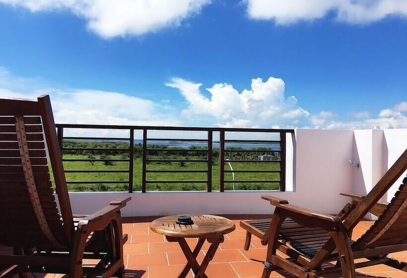 تختخواب و صبحانه Ibali Hostel