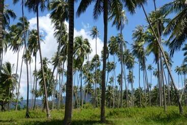 Maenam Hills Samui