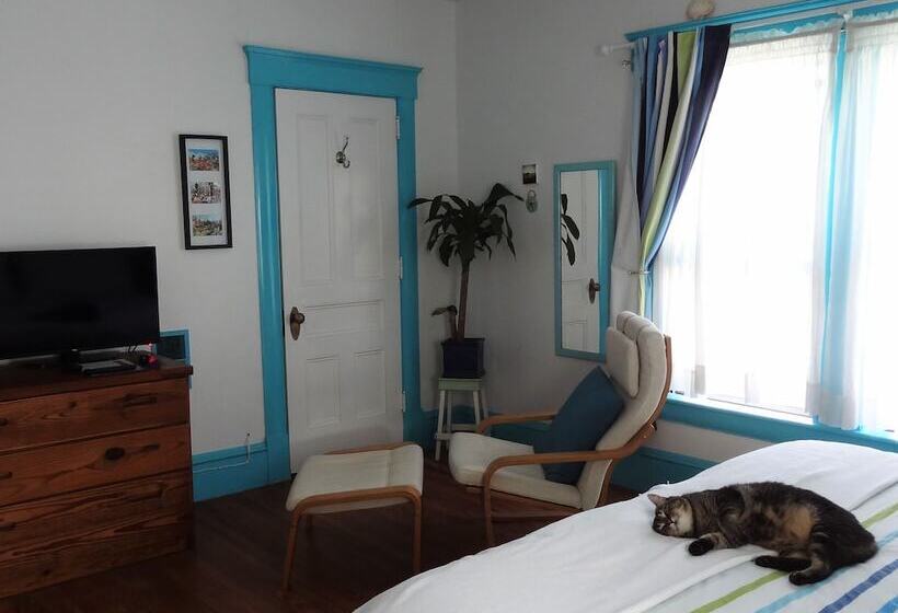 The One Cat B&b