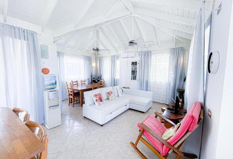 Caribbean Galaxy Paradise Hotel Wifi Los Corales Bavaro Beach Club & Spa