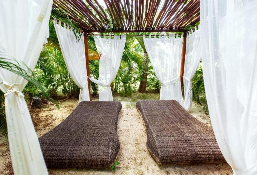 هتل Grand Caribe Beach Club And Spa   Playa Los Corales