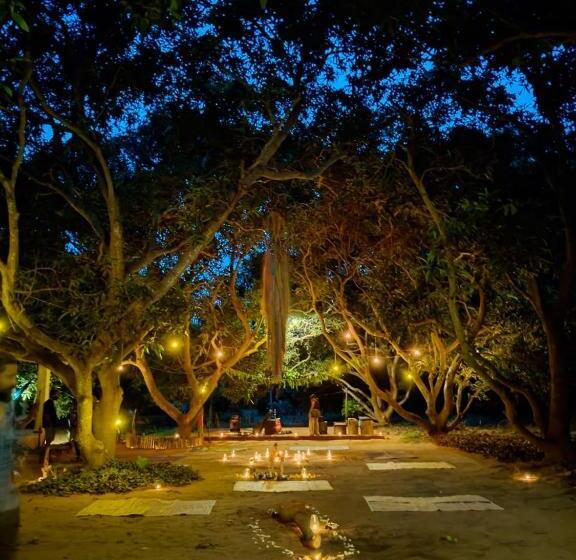 پانسیون Art Forest