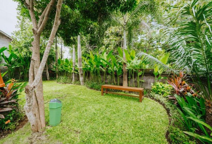 پانسیون Brisk Homestay