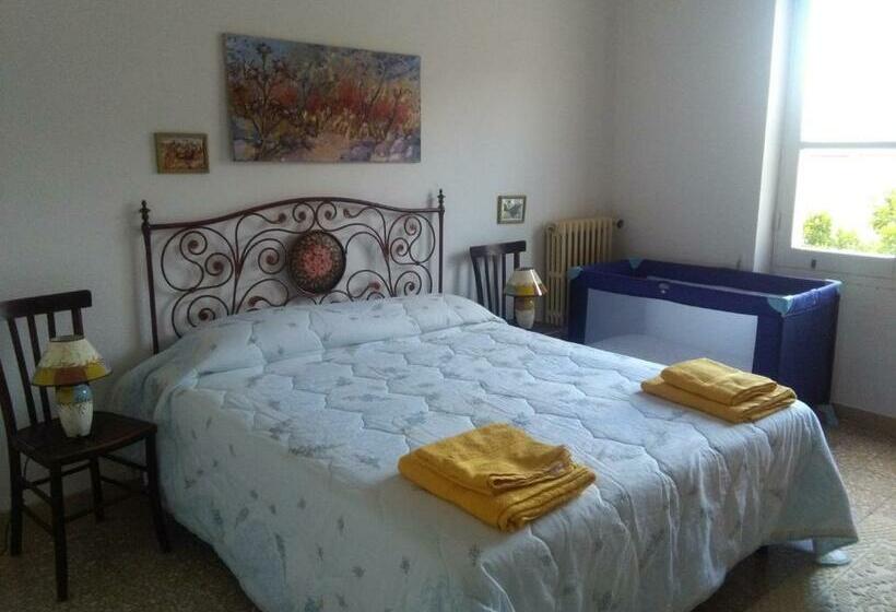 B&b Notte Al Museo