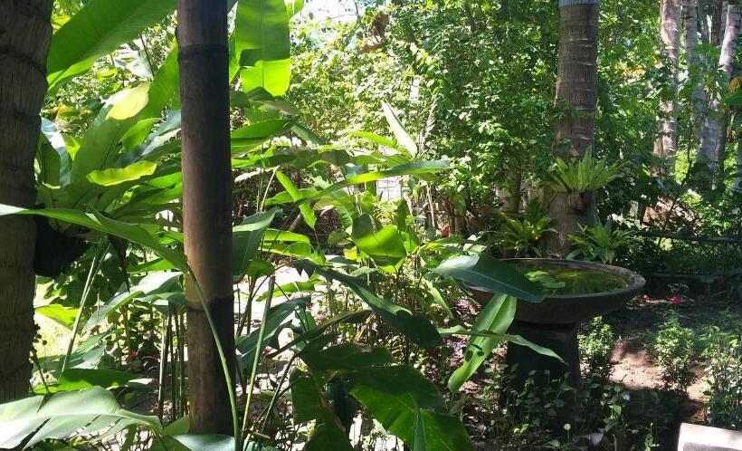 펜션 Amed View Guesthouse