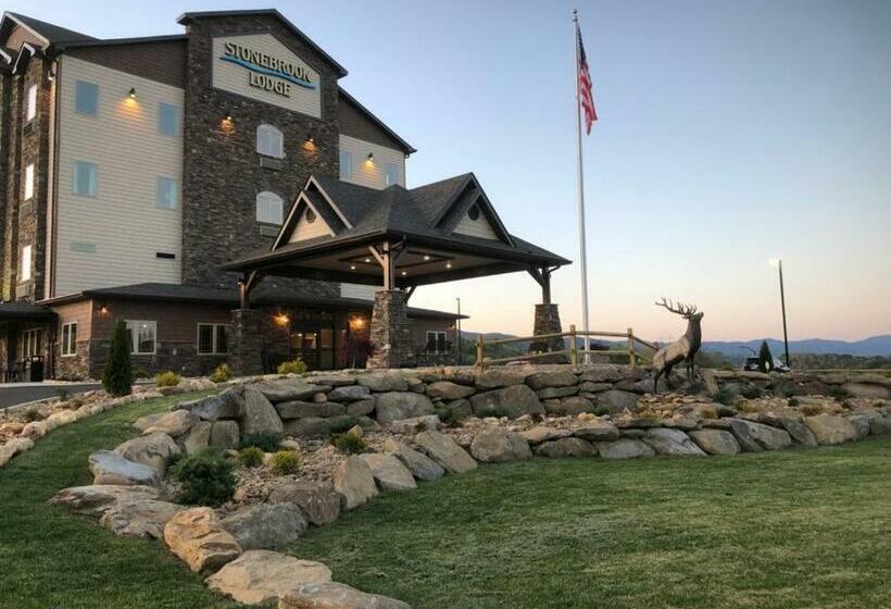 Отель Stonebrook Lodge Murphy