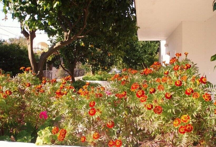 Alexios Studios