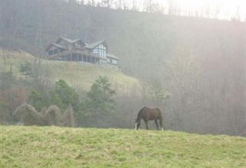 Bed and Breakfast Wildberry Lodge