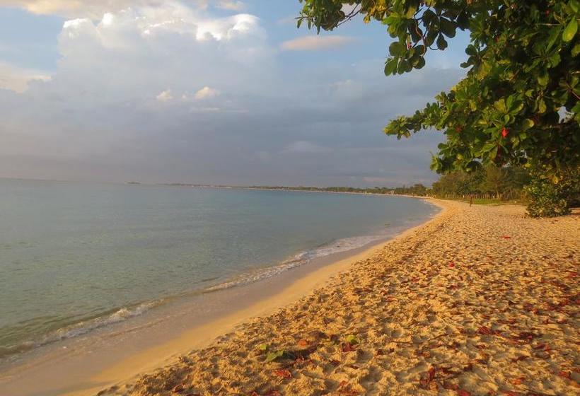 Fotos del hotel A Piece Of Paradise Montego Bay:  16