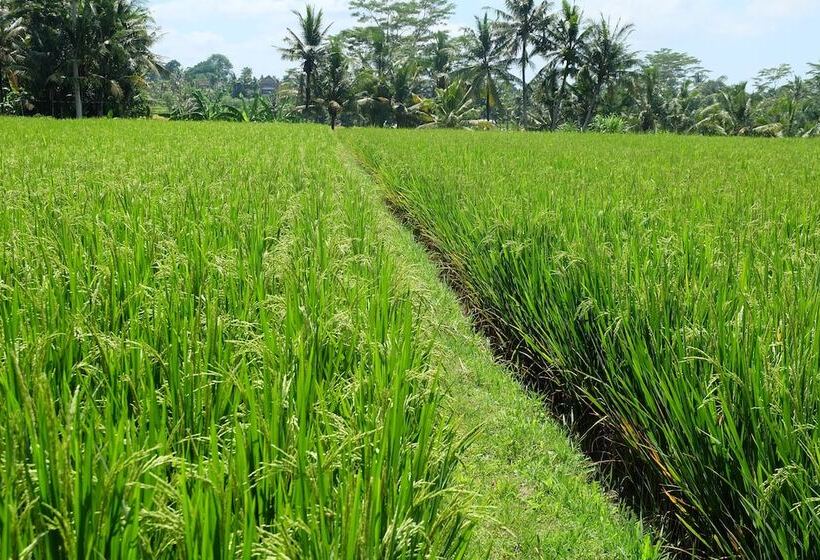 Fotos del hotel Villa Santun:  13