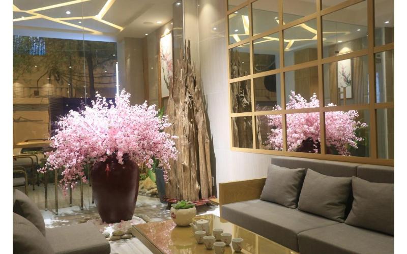 Fotos del hotel Thuy Sakura & Serviced Apartment: 1 Fotos del hotel Thuy Sakura & Serviced Apartment: 1