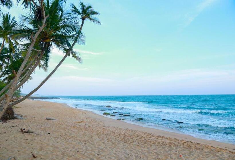 Pensione Catamaran Beach Home And Restaurant