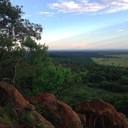 فندق Buyskop Lodge