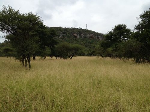 فندق Buyskop Lodge