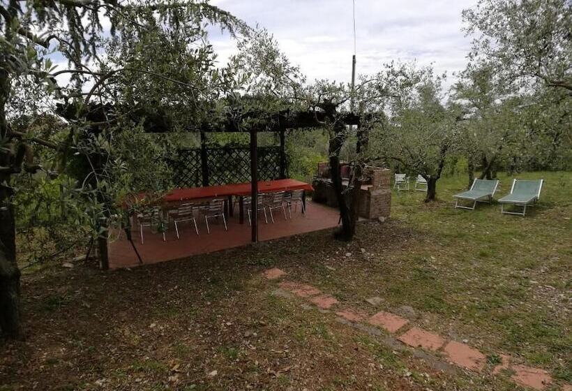 酒店 Agriturismo Crocino In Chianti