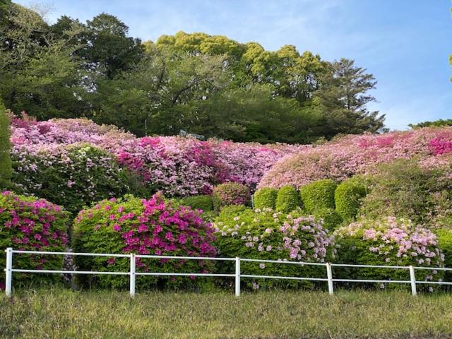 فندق Hatago Hashimoto