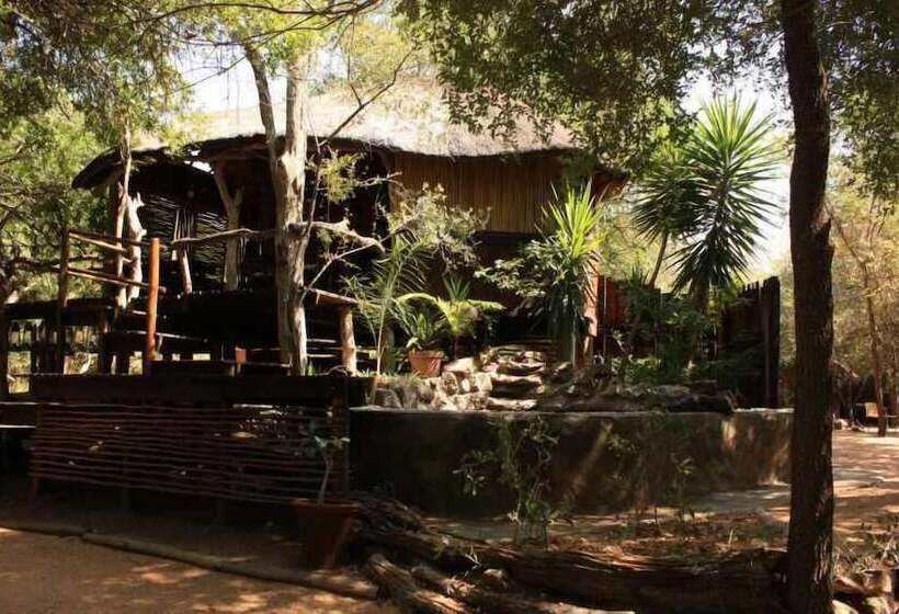 فندق Off Beat Safaris Bush Lodge