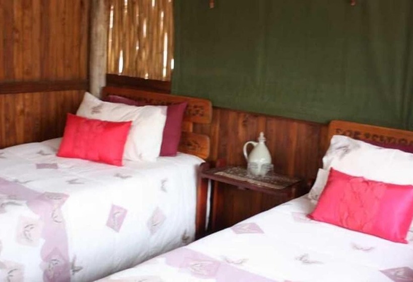 فندق Off Beat Safaris Bush Lodge