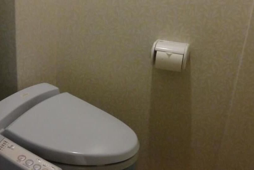 Fotos del hotel Ryokan Kiritani Hakoneso:  8