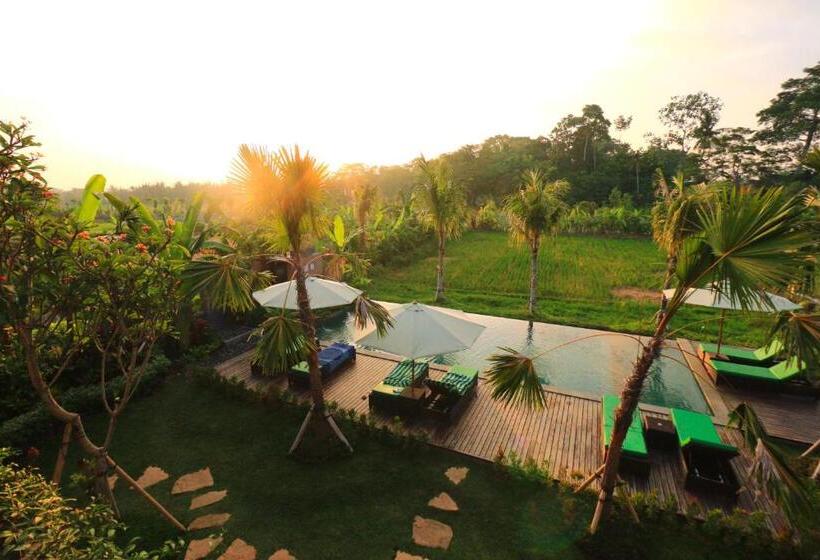 Fotos del hotel Ubud Tropical Garden:  53