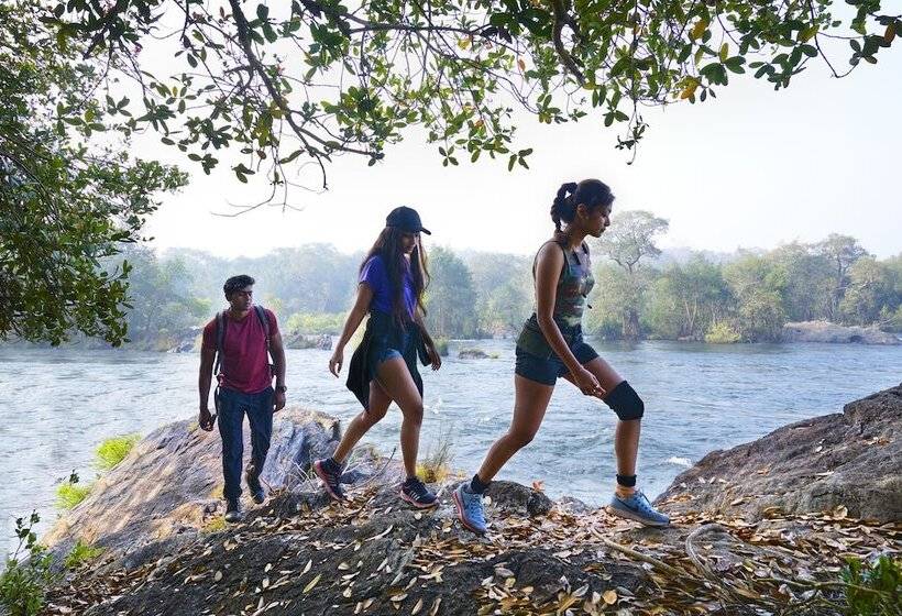 Whistling Woodzs Resort