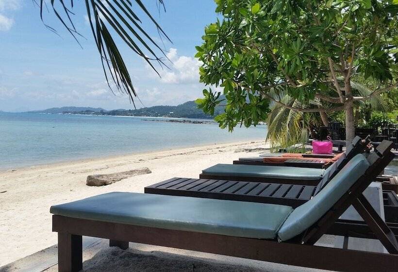 هتل Grand Manita Beach Resort