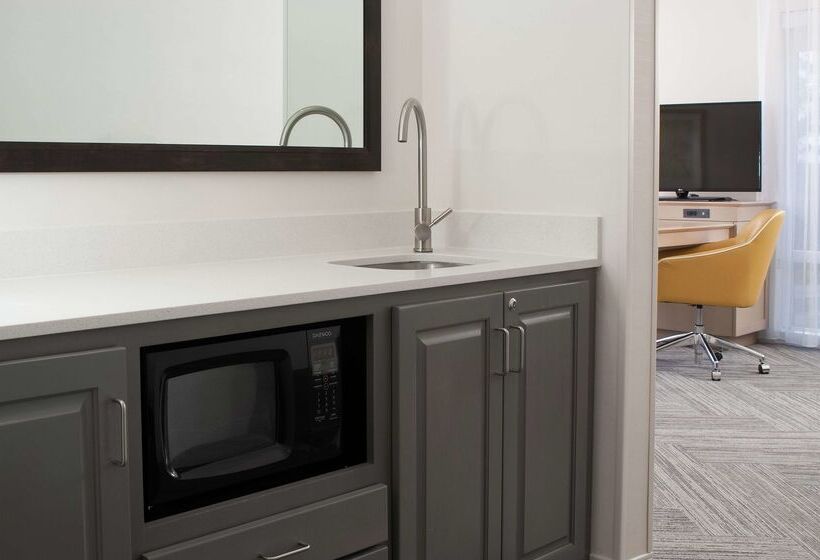 هتل Hampton Inn & Suites By Hilton Augustawashington Rd