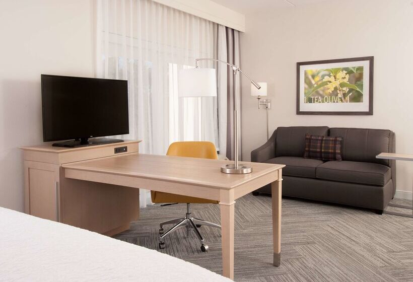 هتل Hampton Inn & Suites By Hilton Augustawashington Rd