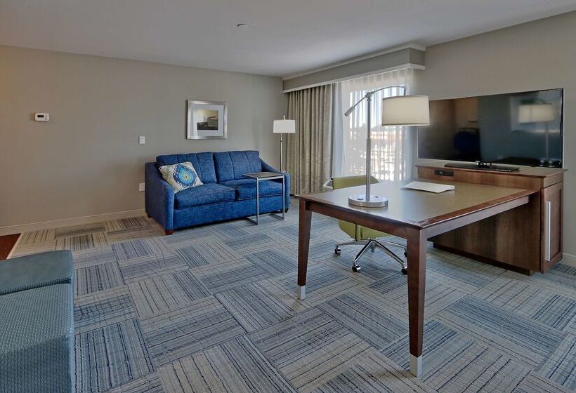 Отель Hampton Inn & Suites Las Cruces I10
