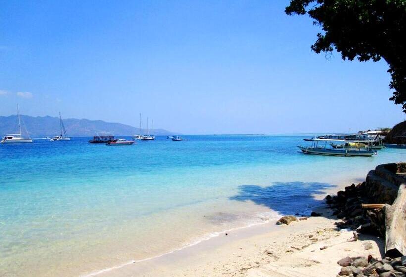 هتل Oceans 5 Dive Resort