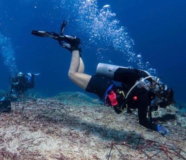 هتل Oceans 5 Dive Resort