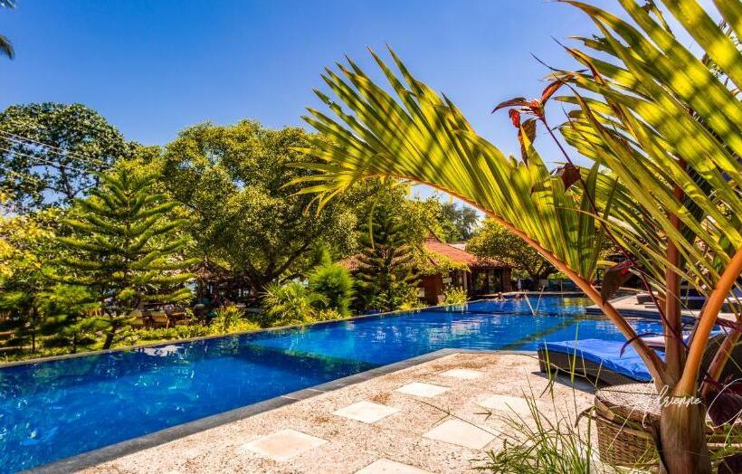هتل Oceans 5 Dive Resort
