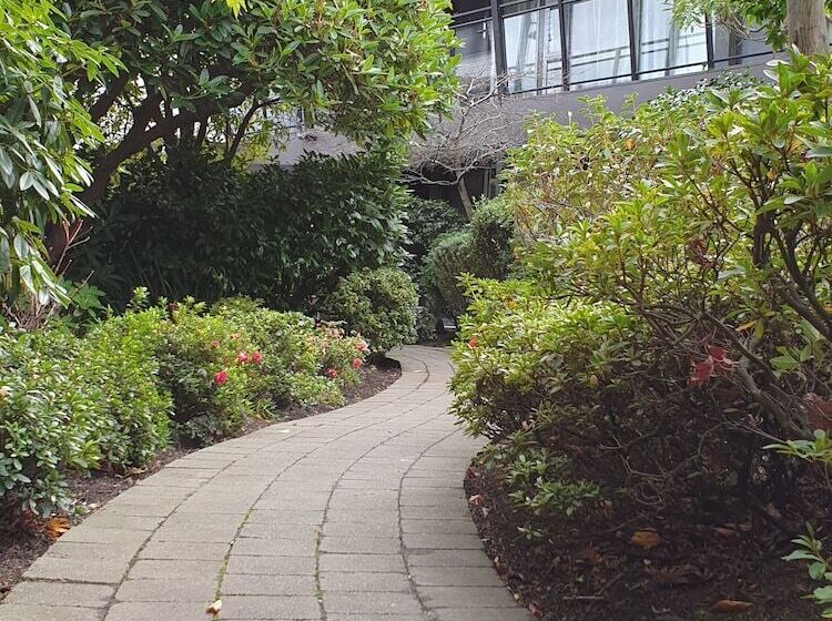 مُتل Aurora On George