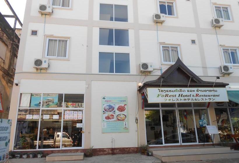 فندق صغير Forest