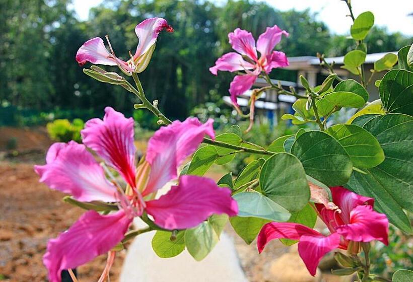 هتل Chomphu Resort