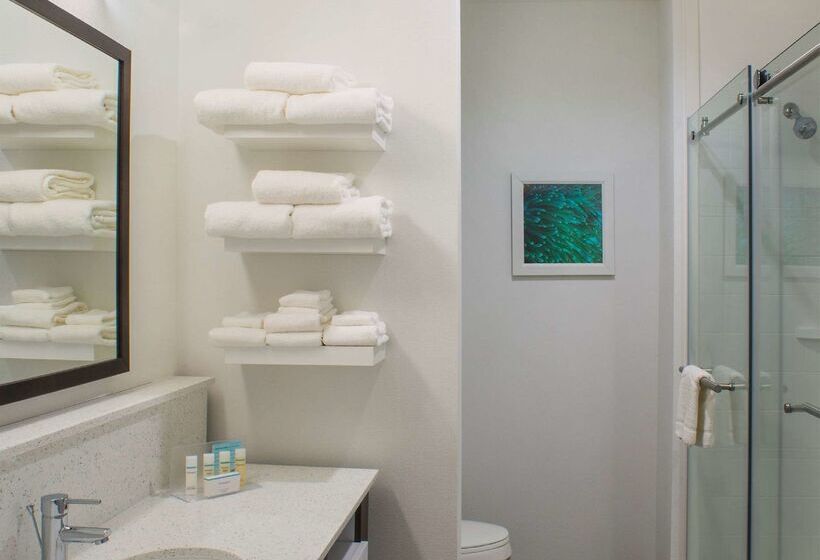هتل Hampton Inn Gulf Shores