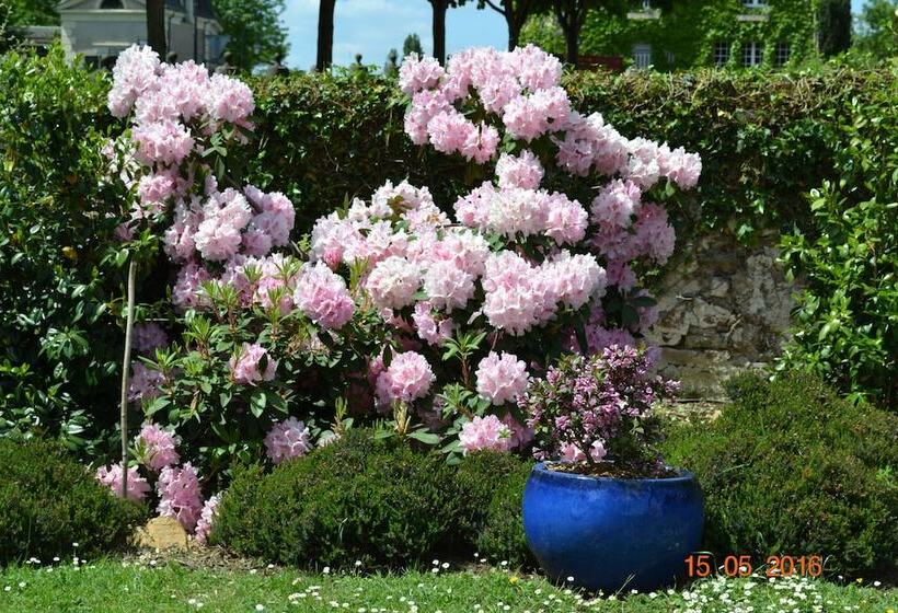 فندق Le Castel