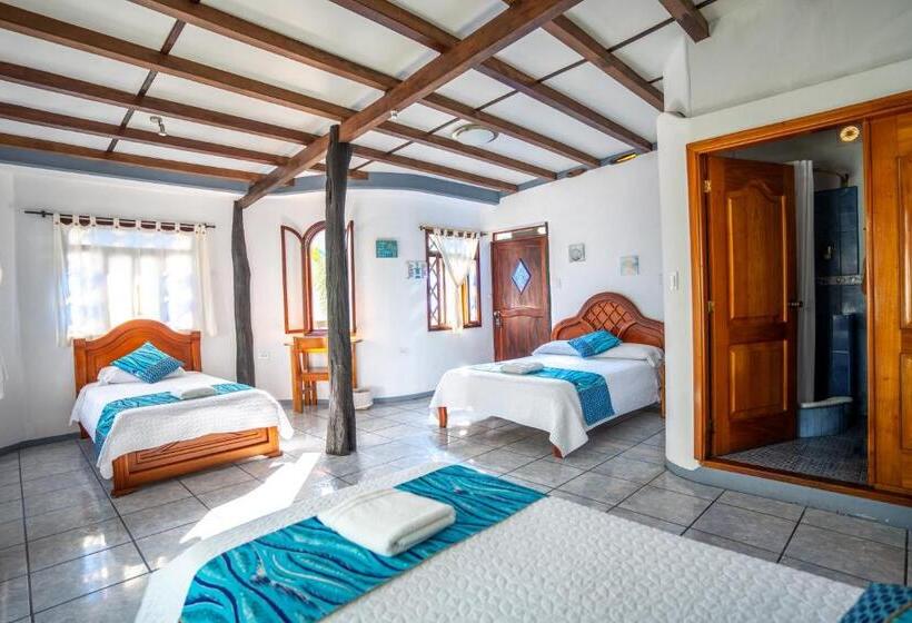 Fotos del hotel Maidith White Cove:  16