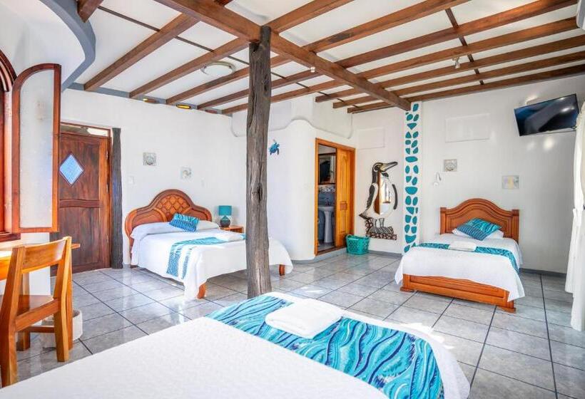 Fotos del hotel Maidith White Cove:  18