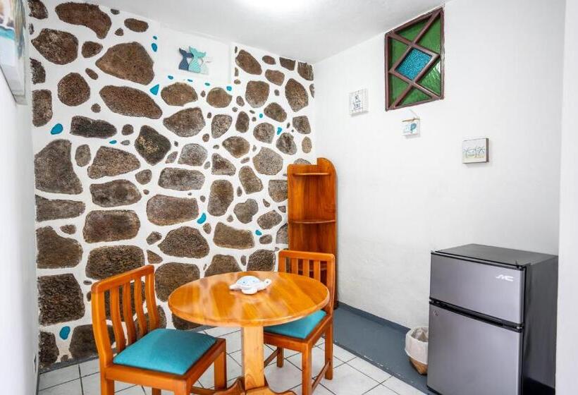 Fotos del hotel Maidith White Cove:  34