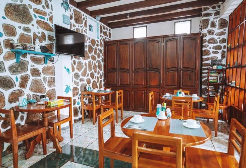 Fotos del hotel Maidith White Cove:  42