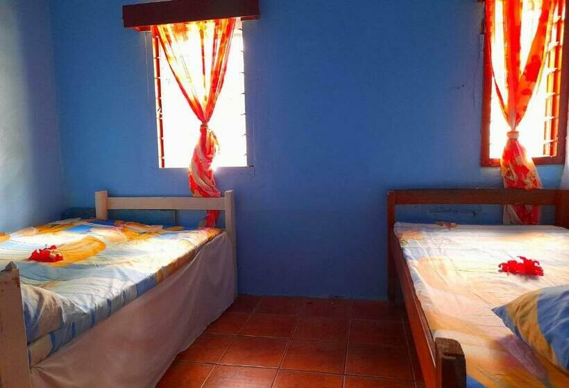 هاستل Mana Lagoon Backpackers