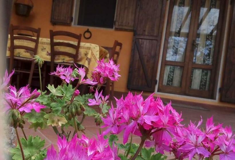 Phoenix B&b