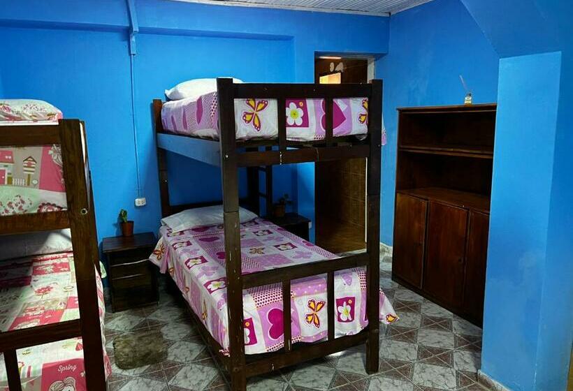 هاستل Nature Iguazu Hosteria