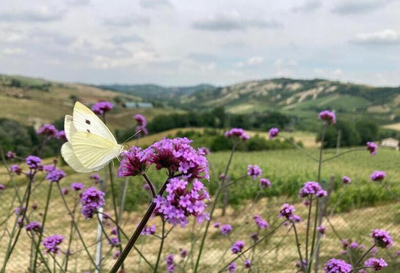 هتل Agriturismo Camponovo