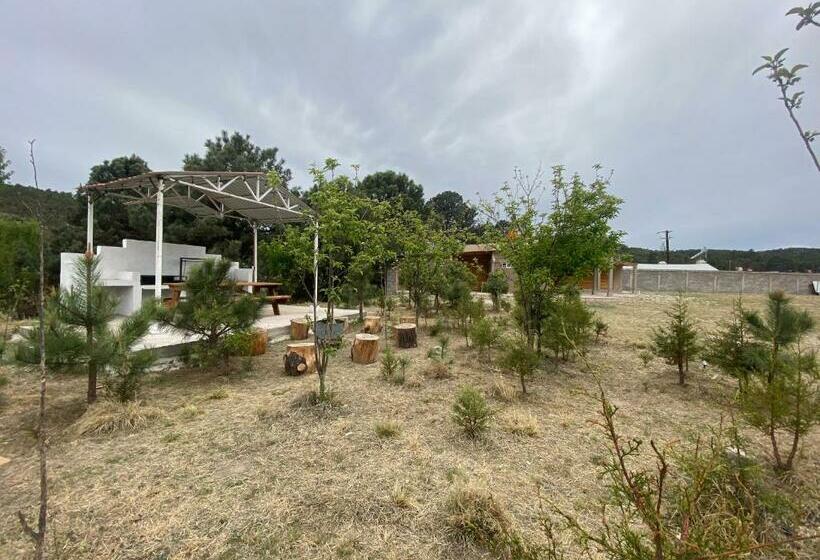 هتل Cabañas Rochivo Ranch