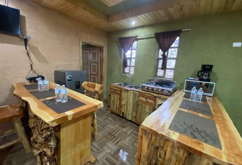 هتل Cabañas Rochivo Ranch