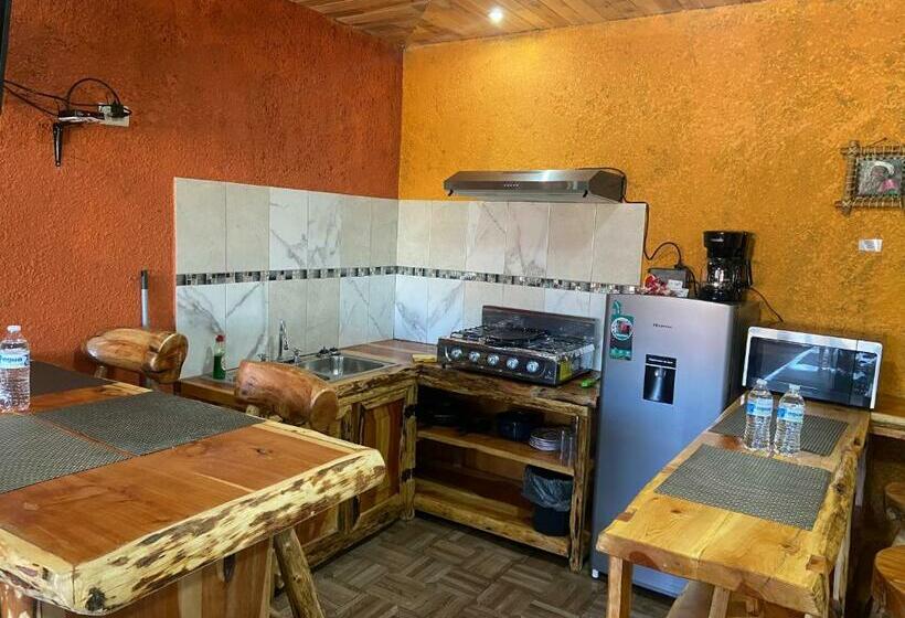 هتل Cabañas Rochivo Ranch