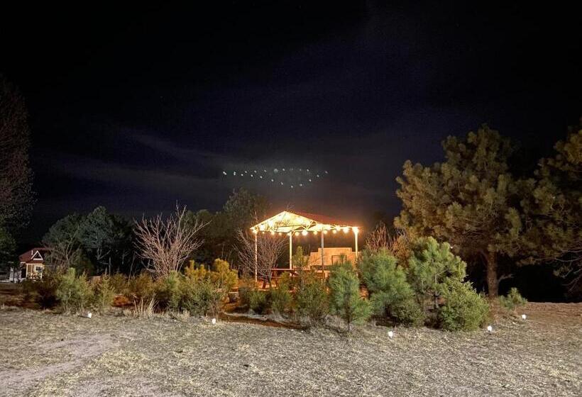 هتل Cabañas Rochivo Ranch