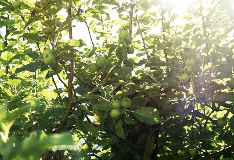 مبيت وإفطار The Waldoboro Inn Room 3